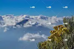 冒险 Mac壁纸 亚洲 4K壁纸1920X1080 背景 背包旅行