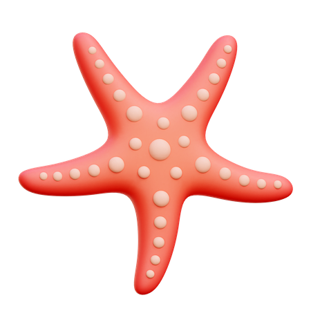 海星 3D 图标