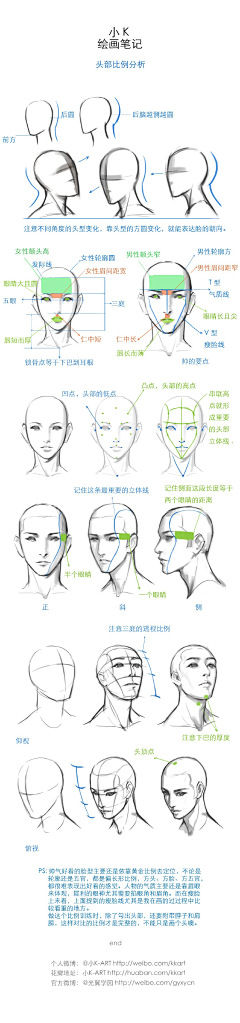 十六石榴呀~采集到绘画篇｜人体结构