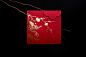 平面設計 包装设计 紅包 蛇年 新年 Red Envelope chinese new year Red Packet Graph (18)