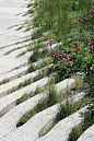 Garden Design / on TTL Design