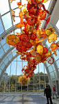 Chihuly Glass Garden by Cindy Lepore