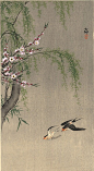 【小原古邨（日本）绘画作品】 