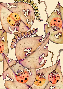 大自然手记 丨作者：Colleen Parker 插画艺术（1） No.12