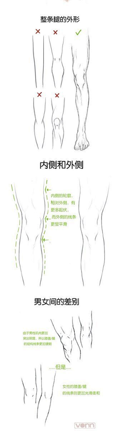 爆爆荔枝采集到人体局部-膝盖参考