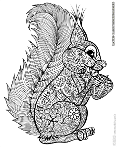 手绘线描黑白动物矢量图1stvomxc4采集到黑白装饰画平面构成采集