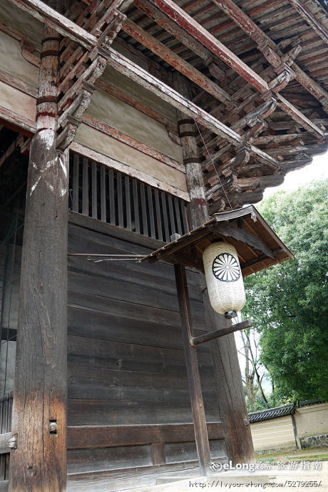 奈良樱花季2012【第十篇】去“东大寺”...