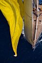 In yellow (spinnaker) details ...: 