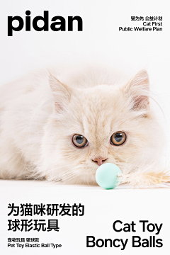 😘哔哩哔哩😘采集到宠物小精灵美美图