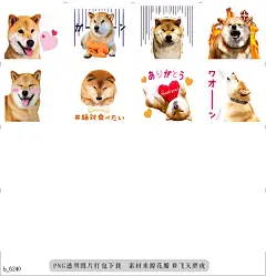 b@飞天胖虎 line贴图表情包贴纸柴犬玛鲁  犬的生活并没有那么糟糕，尤其这条叫玛鲁的柴