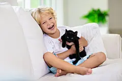 点击来源直接获取大图文件 |孩子和小猫咪玩耍。孩子与小猫。