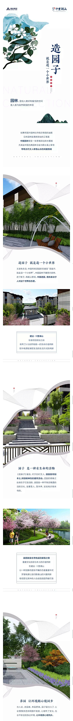 tZrAiZMX采集到长图/拉页