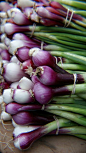 Red Onions by soinlove83 | Vegetables | Pinterest
