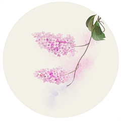 二货菇凉采集到一花一木一世界