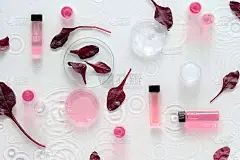 红甜菜幼叶。营养价值或质量控制。化学实验室管，粉红色和红色小瓶，样品，培养皿。长长的影子，水花飞溅