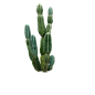 量天尺