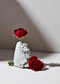 #静物#stilllifephotographer #stilllifephotographer #productphotography#摄影师#setdesign#生活方式#davidlineton #advertisingphotography#概念