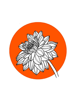 晴希琳采集到缠绕画