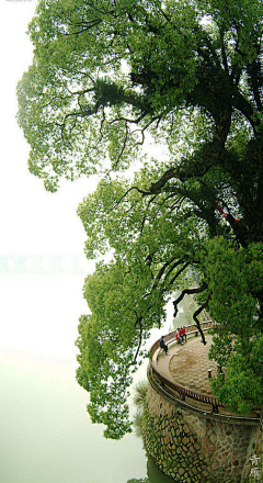 醉醺醺采集到中国风景