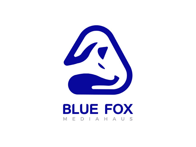 Blue Fox Mediahaus V...