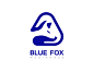 Blue Fox Mediahaus V3