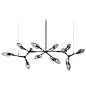 Kinesis '1.12' Chandelier in Blackened Brass and Clear Glass by Matthew Fairbank For Sale at 1stDibs
