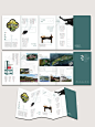 折页设计❤️‍毕业设计海报｜画册设计排版