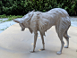 Maned Wolf, Krystal Sae Eua : Maned wolf I designed and 3D printed and painted with help from Clone 3d. 

Non-Disclosed Artist Exhibition at Te Auaha Gallery http://nondisclosedartist.co.nz/

A limited run of casts will be available for pre-order here: ht