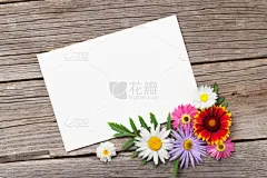 贺卡,空白的,非洲雏菊,雏菊,留白,边框,水平画幅,高视角,无人,夏天