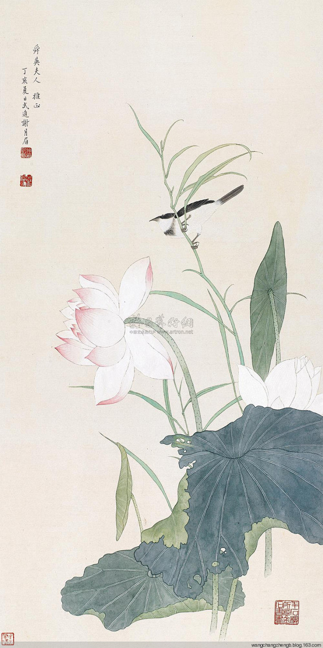 谢月眉工笔花鸟作品欣赏 -  名卷若。江...
