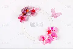 春花或夏花组成，静物，横幅，简约假日概念，精致兰花花平铺。母亲节贺卡，妇女节，情人节，生日快乐，