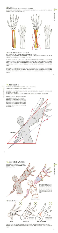 春暖心开采集到画画知识点