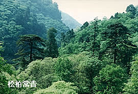 森林氧吧－上方山森林公园