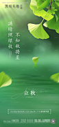 编号：20221018222145204【享设计】源文件下载-立秋节气海报