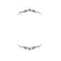 玫瑰边框44