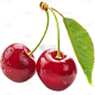 insMind Elements Accessories Fruits