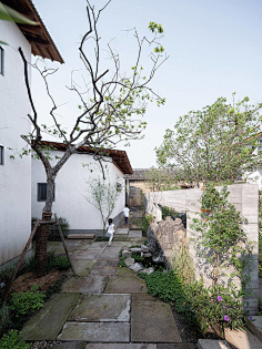 房前屋后-花瓣网|陪你做生活的设计师 | 收集_花瓣建筑设计这才是乡村庭院该有的气质！477