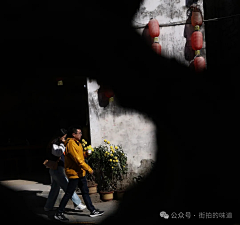 王琼盈采集到摄影