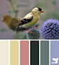 goldfinch hues