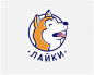 狗 logo 的图像结果