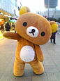 Rilakkuma #kawaii #cute #mascot -