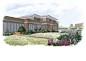 Landscape architecture garden plants Flowers dacha