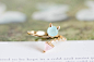 the baby devil ring, cute ring戒指