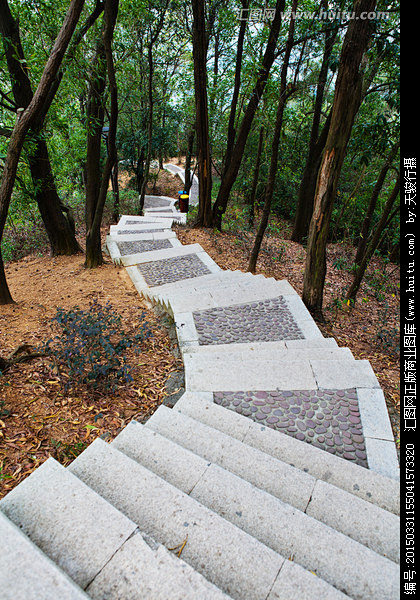 登山道