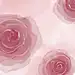 豆沙色玫瑰花唯美手机壁纸