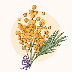 手绘风格的金合欢花束插画沙棘插画