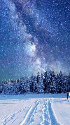 Y雯雯-采集到雪