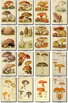 水彩---素材小画 - 高清图片，堆糖，美图壁纸兴趣社区