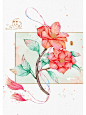 茶梅｜古风｜iPad水彩