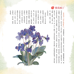 跟你拼啦采集到花